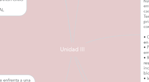 Mind Map: Unidad III