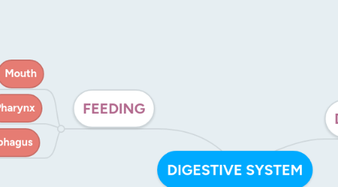 Mind Map: DIGESTIVE SYSTEM