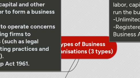 Mind Map: Types of Business Organisations (3 types)