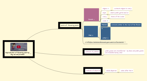 Mind Map: Reproduction of flowering plant by ting wei and pranisha