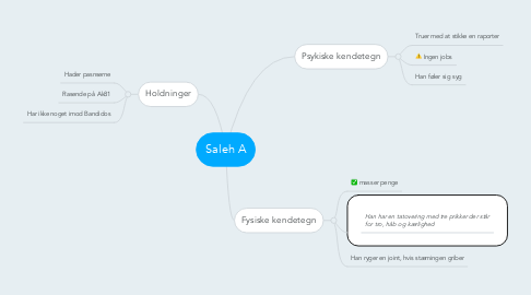 Mind Map: Saleh A