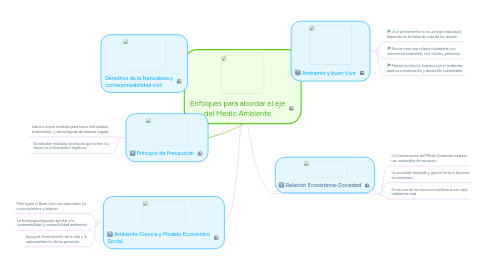 Mind Map: Enfoques para abordar el eje del Medio Ambiente