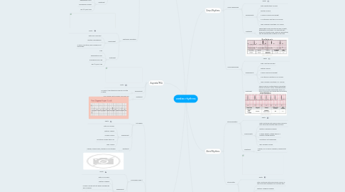 Mind Map: cardiac rhythms