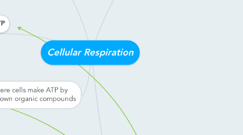 Mind Map: Cellular Respiration