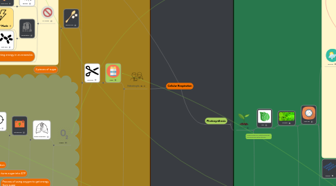 Mind Map: Cellular Respiration