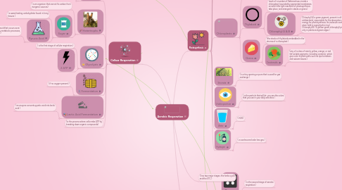 Mind Map: Aerobic Resperation
