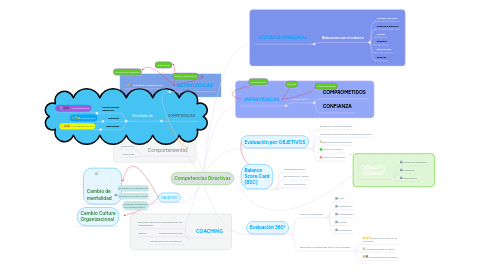 Mind Map: Competencias Directivas