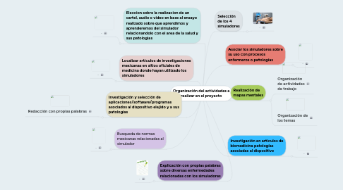 Mind Map: Organización del actividades a realizar en el proyecto