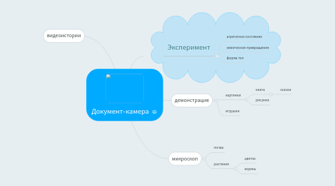 Mind Map: Документ-камера