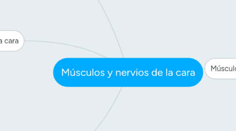 Mind Map: Músculos y nervios de la cara