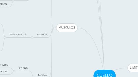 Mind Map: CUELLO