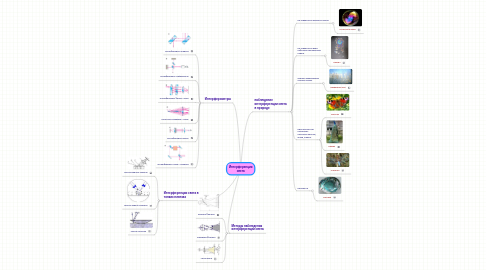 Mind Map: Интерференция света