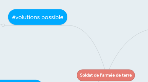 Mind Map: Soldat de l'armée de terre