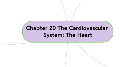 Mind Map: Chapter 20 The Cardiovascular System: The Heart