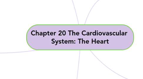 Mind Map: Chapter 20 The Cardiovascular  System: The Heart