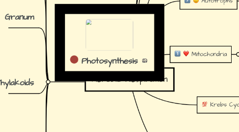 Mind Map: Aerobic Respiration