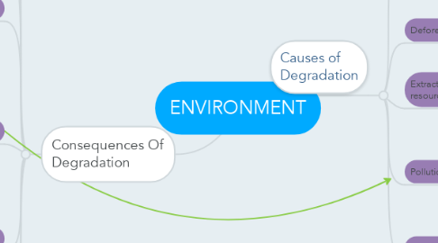 Mind Map: ENVIRONMENT