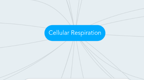 Mind Map: Cellular Respiration