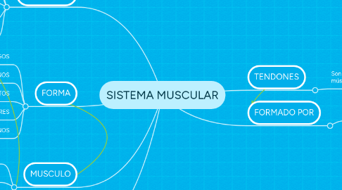 Mind Map: SISTEMA MUSCULAR