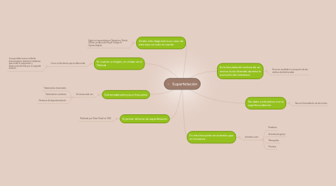 Mind Map: Superfetación