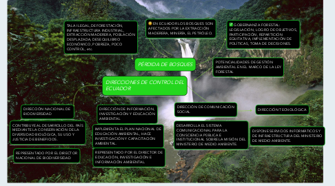 Mind Map: PÉRDIDA DE BOSQUES