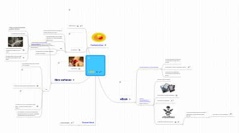 Mind Map: LIBRI