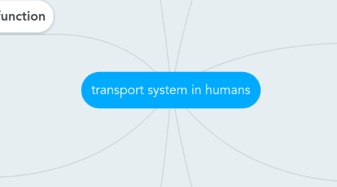 Mind Map: transport system in humans