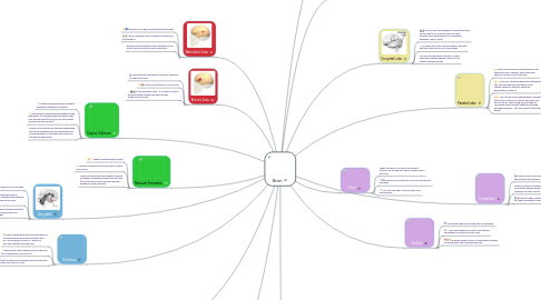 Mind Map: Brain