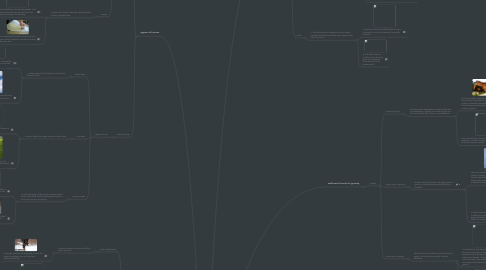 Mind Map: Structures & Forces