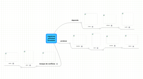 Mind Map: reguiones actividad forestales