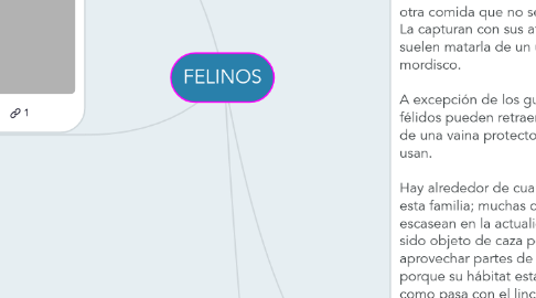 Mind Map: FELINOS