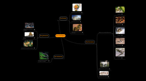 Mind Map: Eras Geologicas