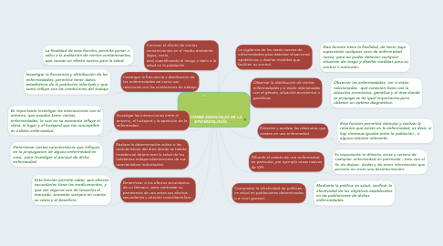 Mind Map: FUNCIONES ESENCIALES DE LA EPIDEMIOLOGÍA.