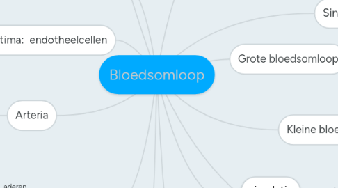 Mind Map: Bloedsomloop