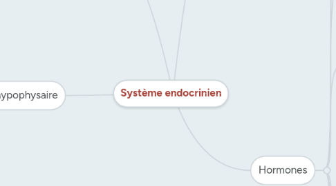 Mind Map: Système endocrinien