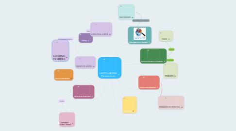 Mind Map: CAMPO LABORAL Mercadotecnia