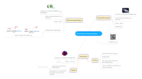 Mind Map: Interactions fondamentales