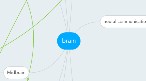 Mind Map: brain