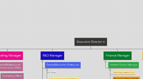 Mind Map: Executive Director
