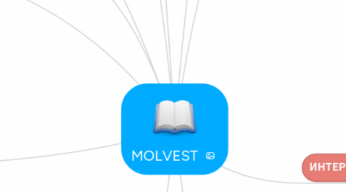 Mind Map: MOLVEST