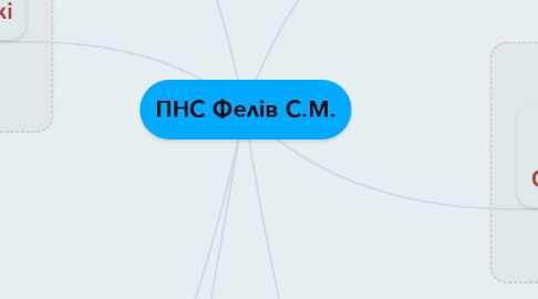 Mind Map: ПНС Фелів С.М.