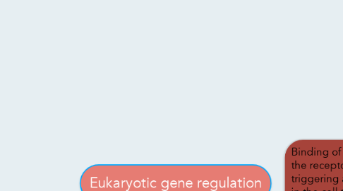 Mind Map: Eukaryotic gene regulation