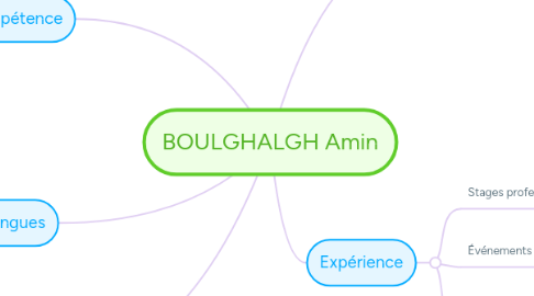 Mind Map: BOULGHALGH Amin