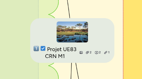 Mind Map: Projet UE83 CRN M1