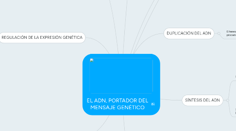 Mind Map: EL ADN, PORTADOR DEL MENSAJE GENÉTICO