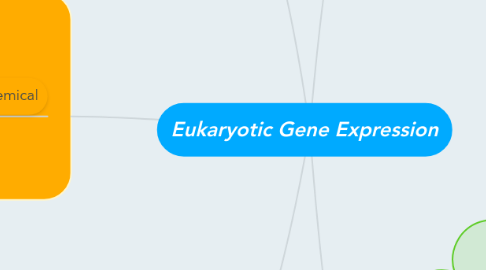 Mind Map: Eukaryotic Gene Expression