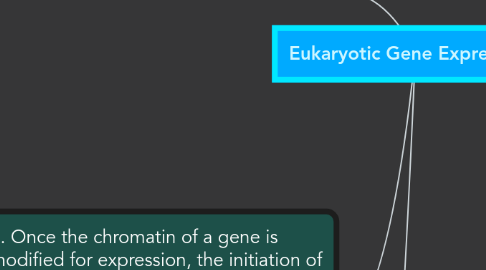 Mind Map: Eukaryotic Gene Expression