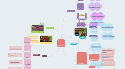 Mind Map: Поведінка