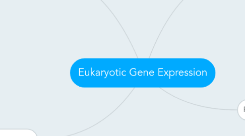 Mind Map: Eukaryotic Gene Expression