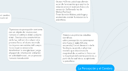 Mind Map: La Percepción y el Cerebro